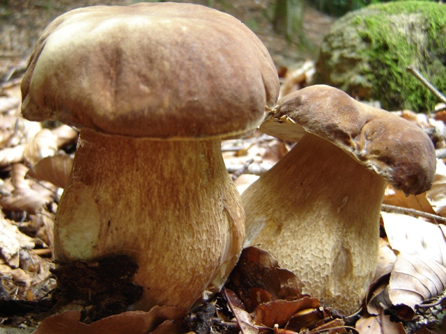 un sabato italiano!!