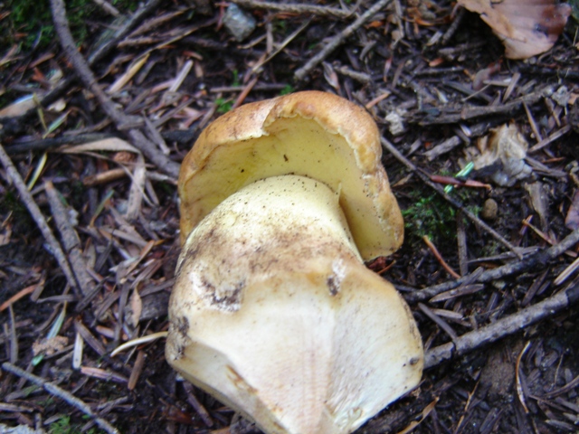 un sabato italiano!!