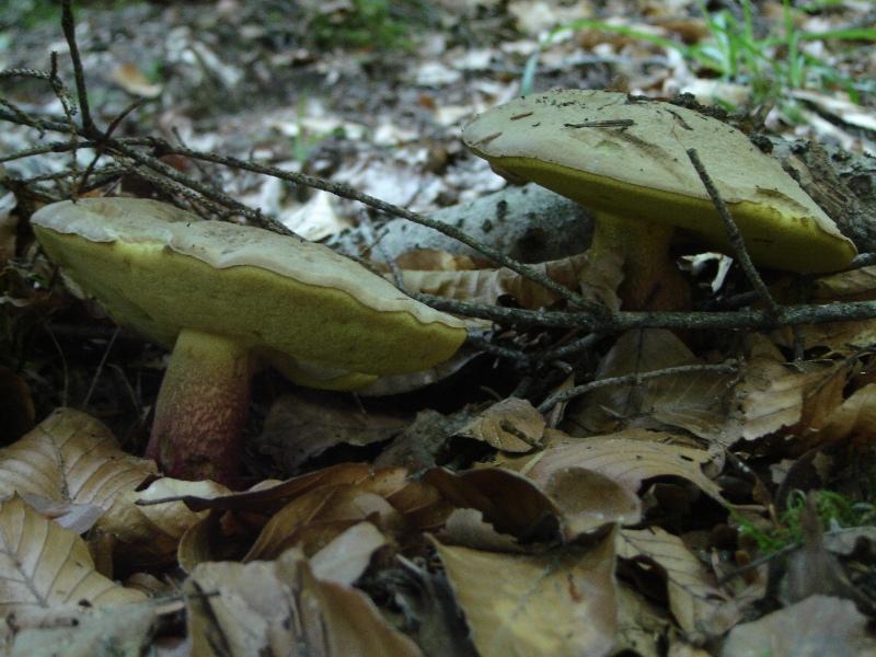 Grande siccit�...ma....