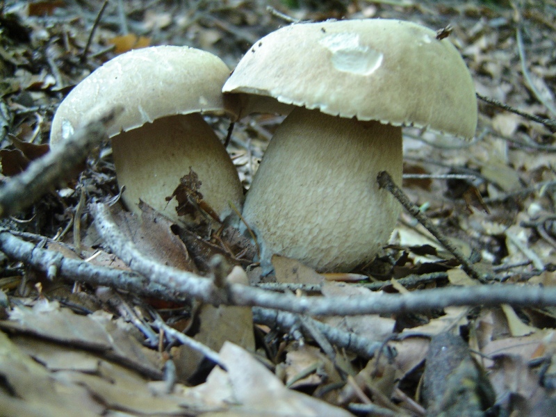 Grande siccit�...ma....