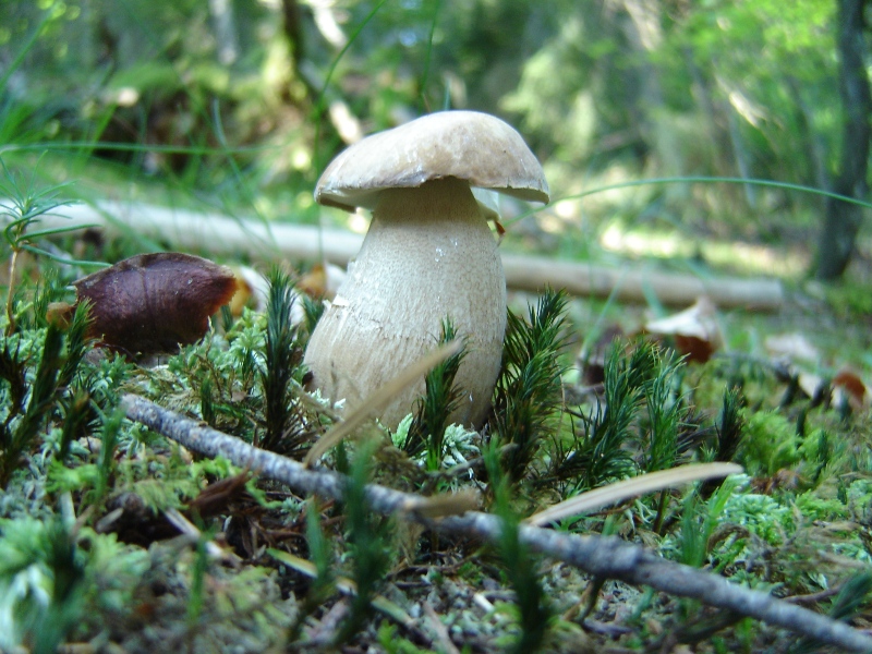 Grande siccit�...ma....