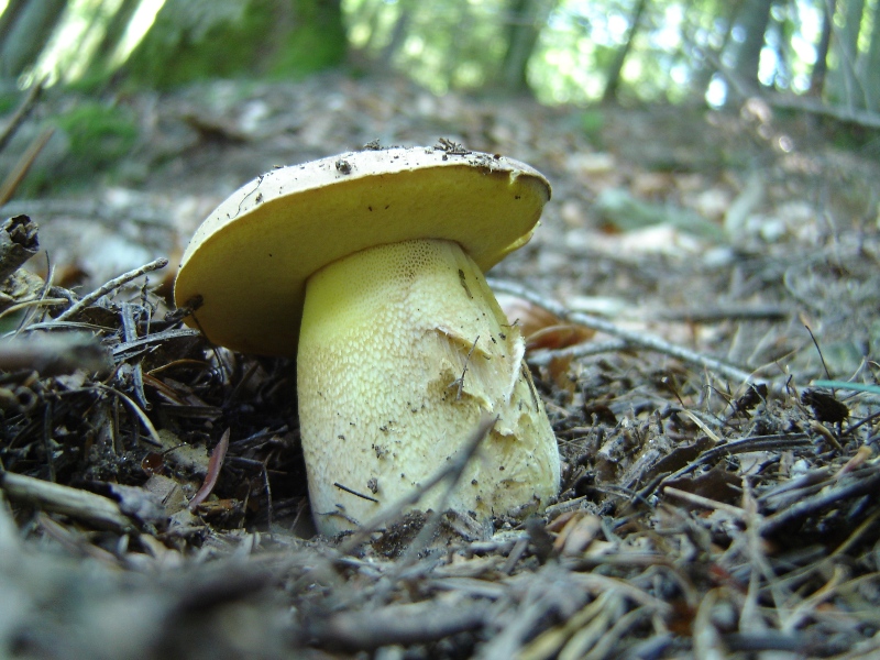 Grande siccit�...ma....