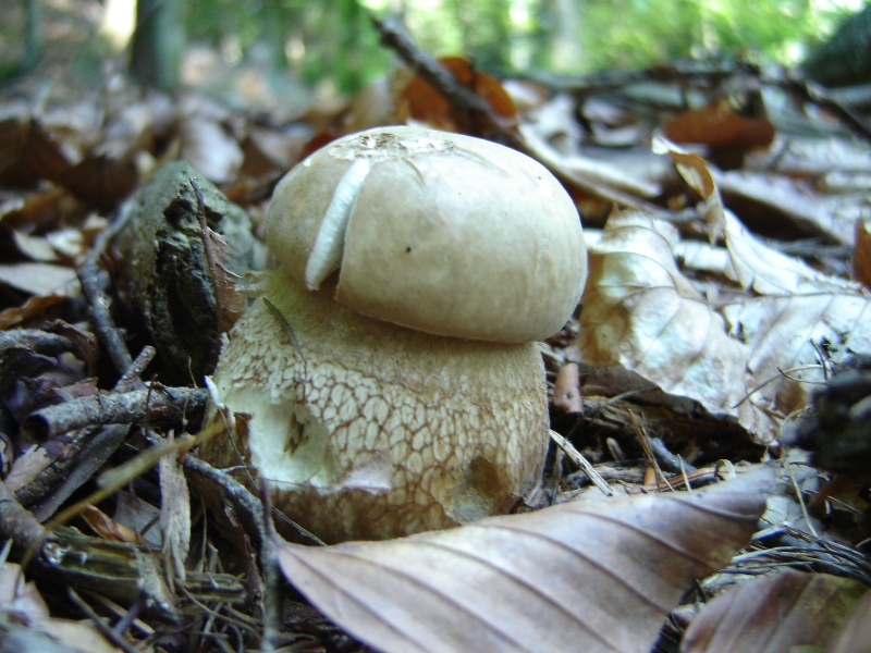 Grande siccit�...ma....