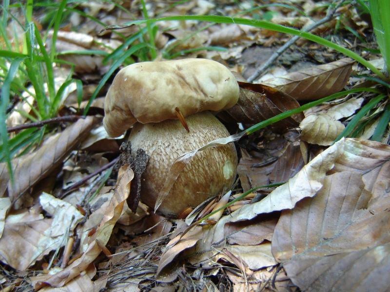 Grande siccit�...ma....