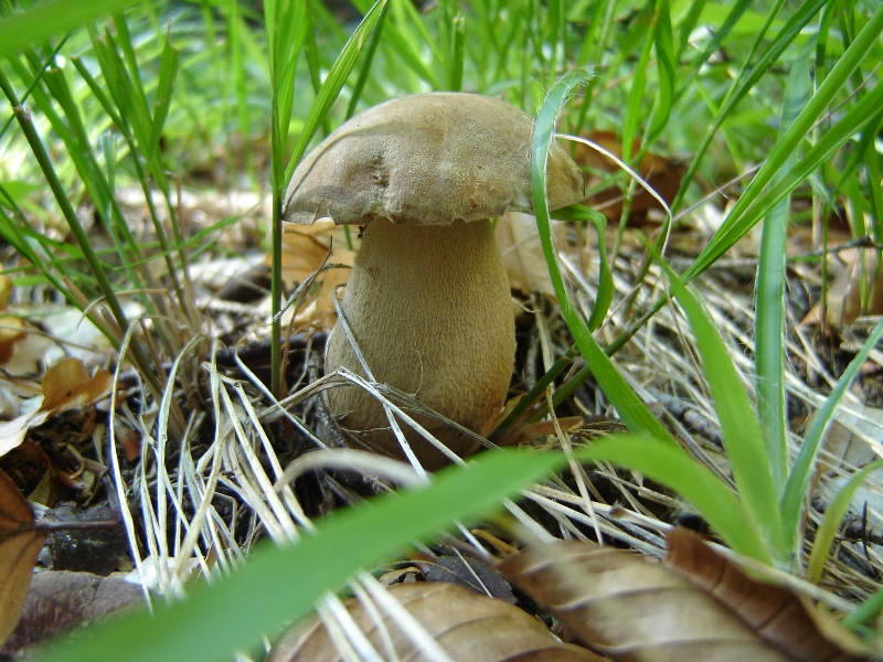 Grande siccit�...ma....