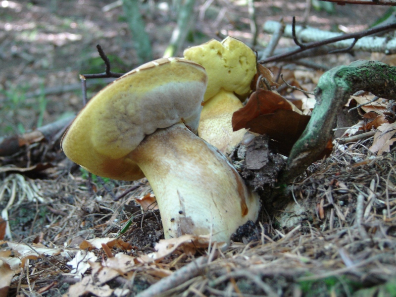 Grande siccit�...ma....