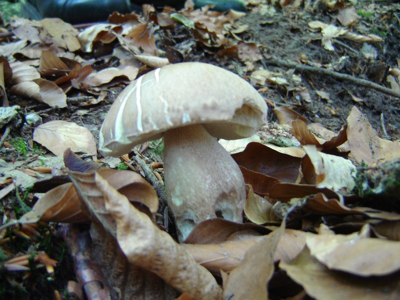 Grande siccit�...ma....