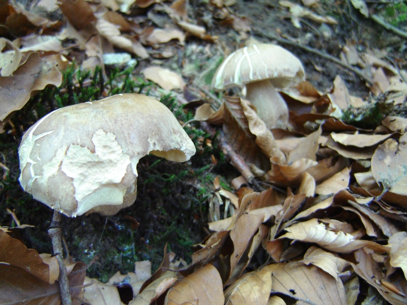 Grande siccit�...ma....