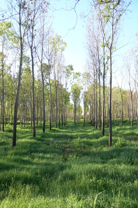 La mia zona di caccia