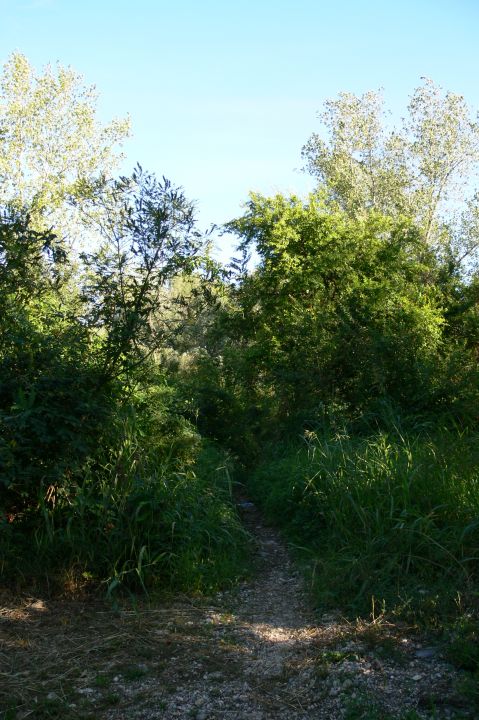 La mia zona di caccia