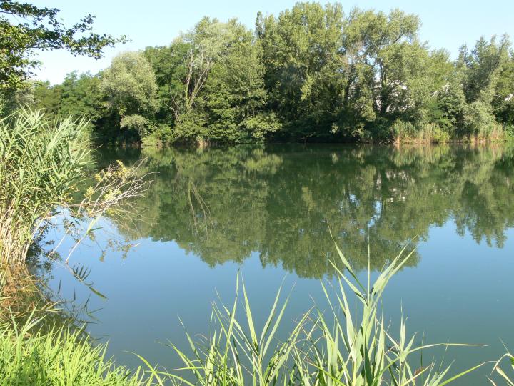 Laghi..... del FRIULI VENEZIA GIULIA