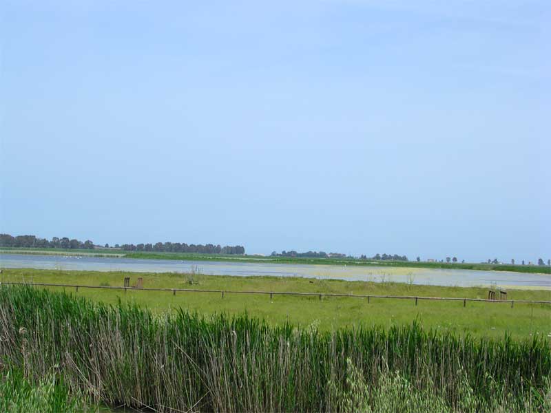 Laghi.......della PUGLIA