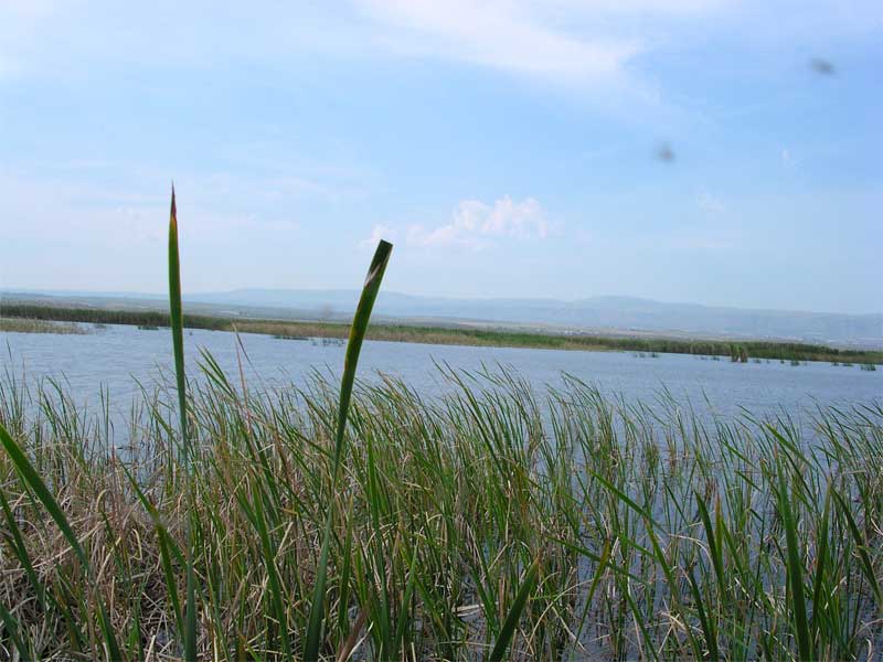 Laghi.......della PUGLIA