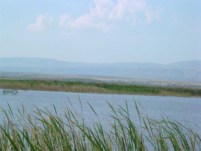 Laghi.......della PUGLIA