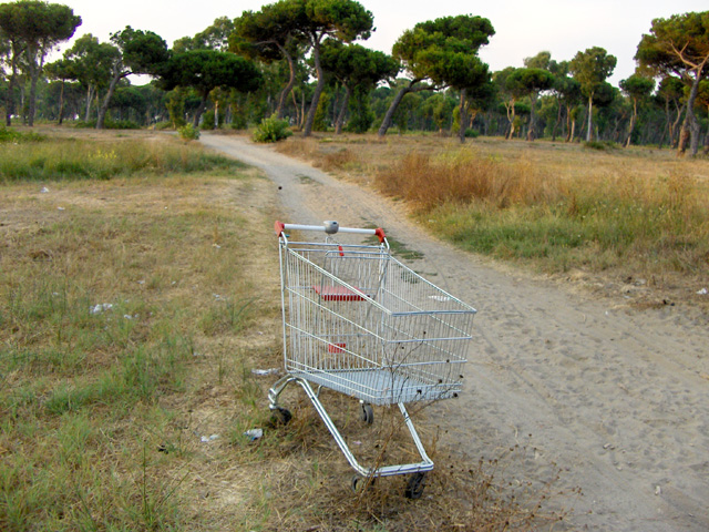 Pineta delle Acque Rosse - Riserva del Litorale Romano