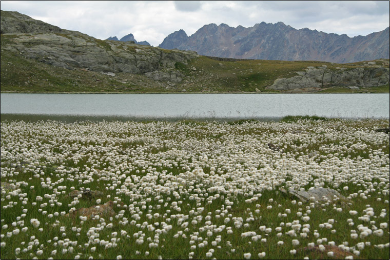 Laghi....della LOMBARDIA