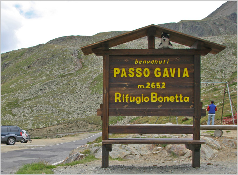 Di passo in passo...