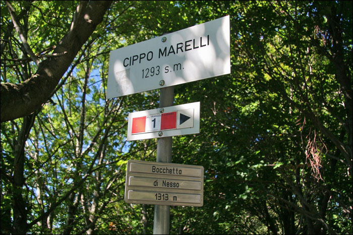 TOPONOMASTICA e CARTELLONISTICA