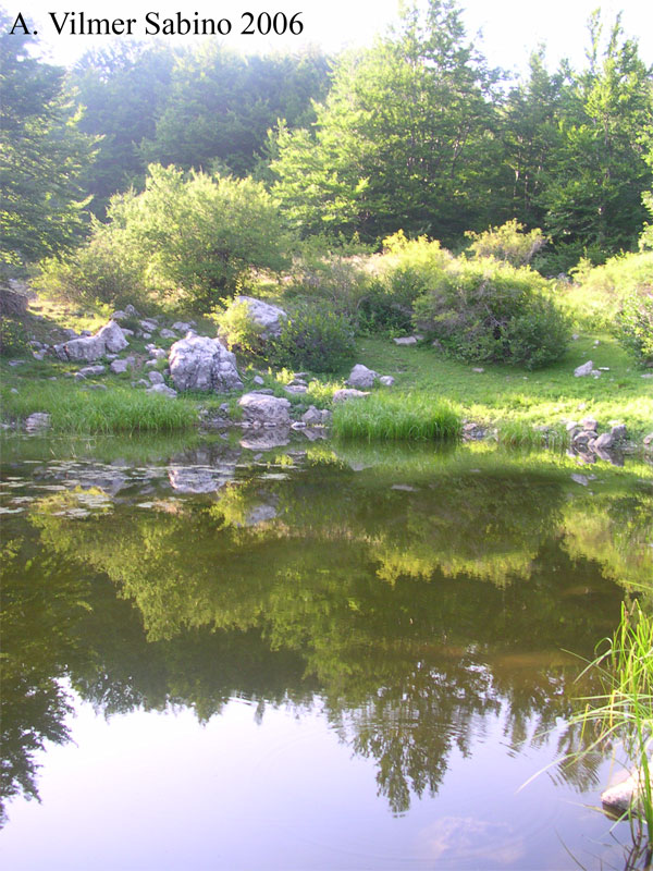 Laghi.....della BASILICATA