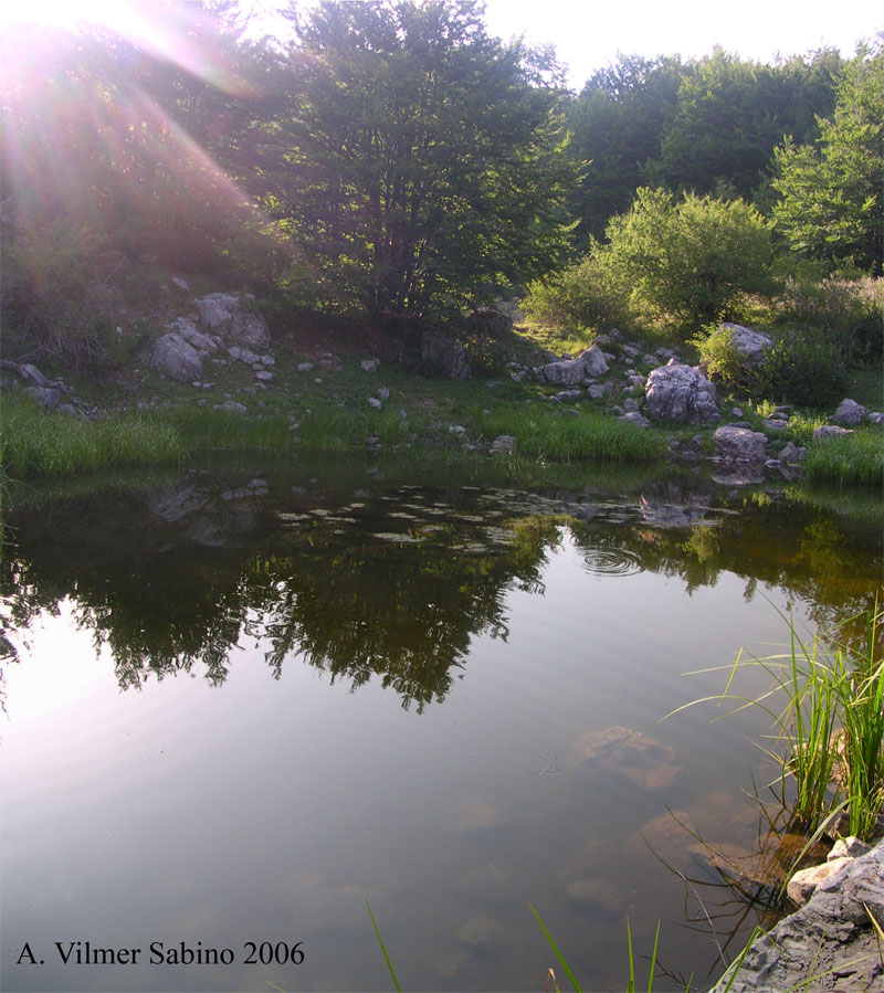 Laghi.....della BASILICATA