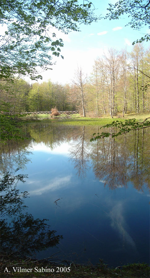 Laghi.....della BASILICATA