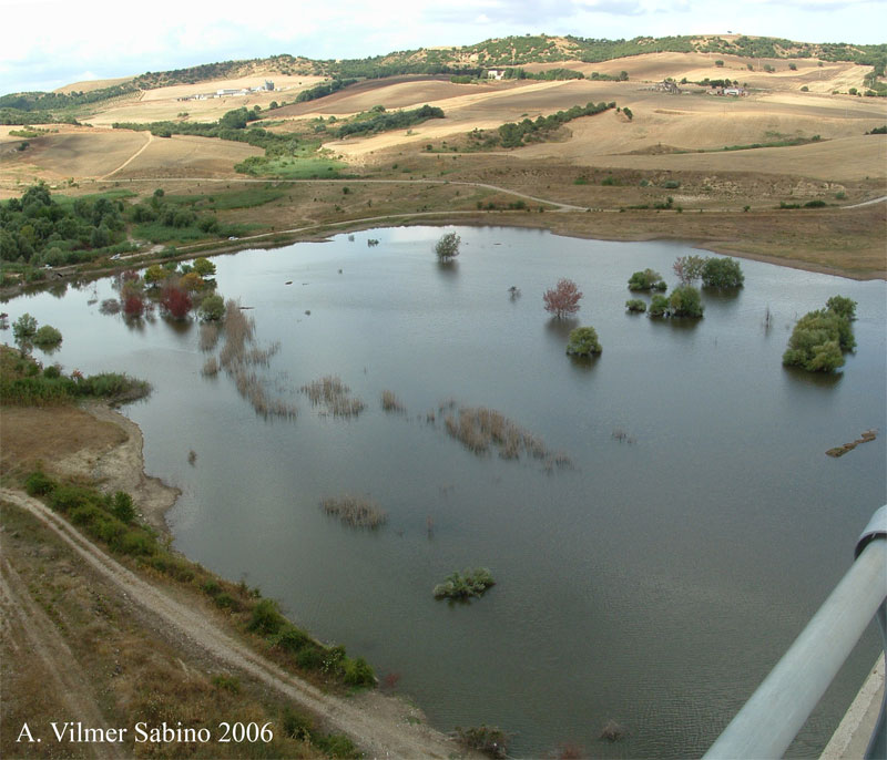 Laghi.....della BASILICATA