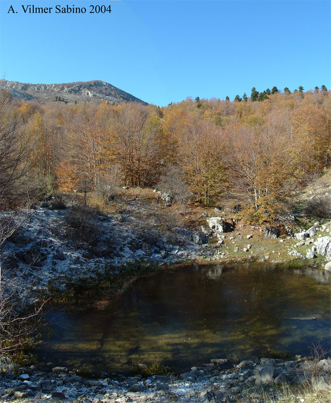 Laghi.....della BASILICATA