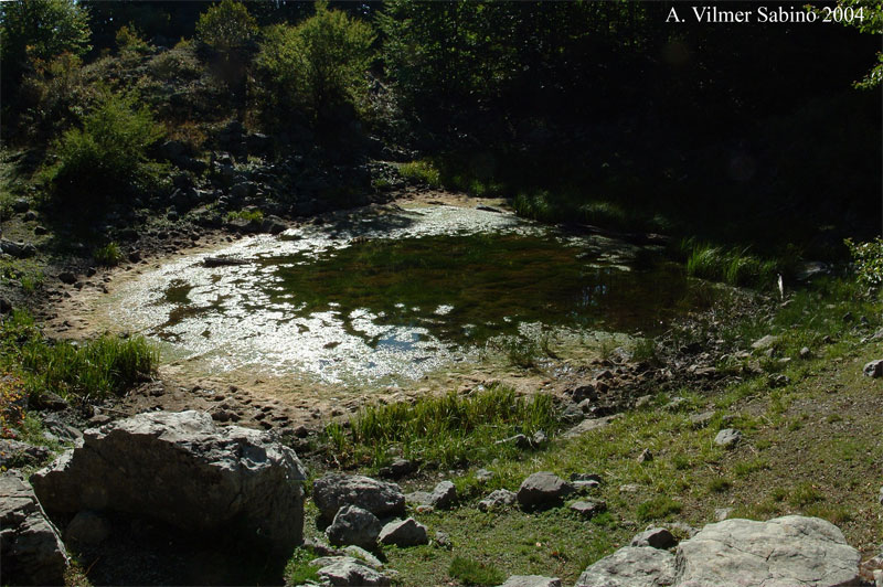 Laghi.....della BASILICATA