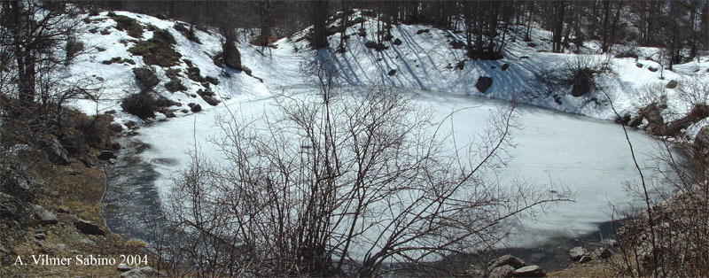 Laghi.....della BASILICATA