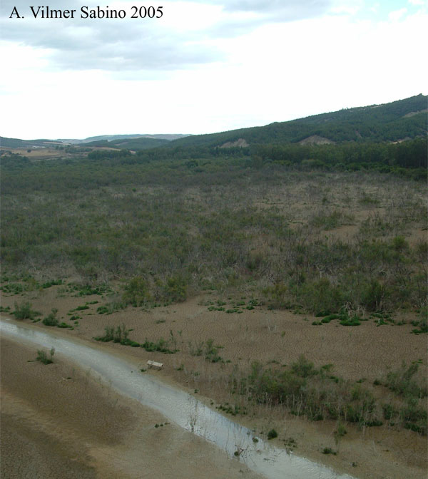 Laghi.....della BASILICATA