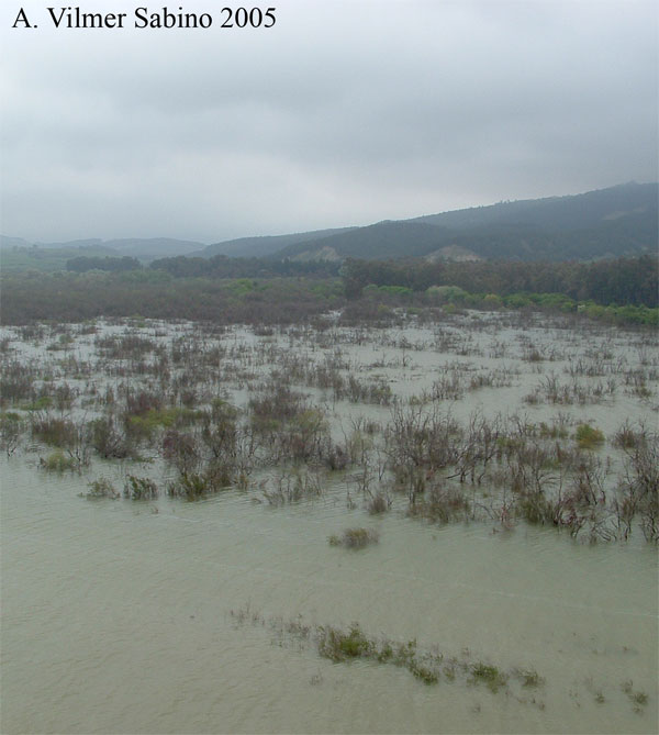 Laghi.....della BASILICATA