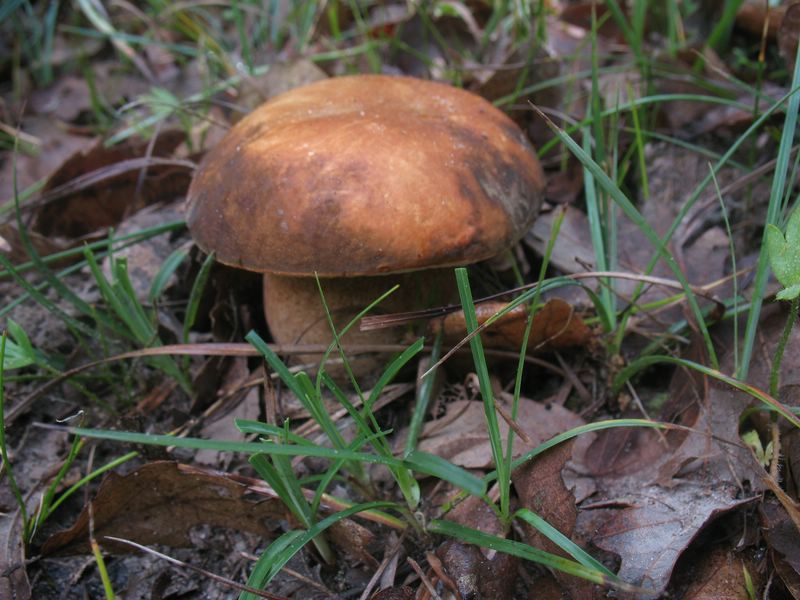 ritrovamenti dell'' 08.05.07