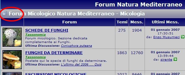 Nuova veste grafica home page del Forum e funzionalit