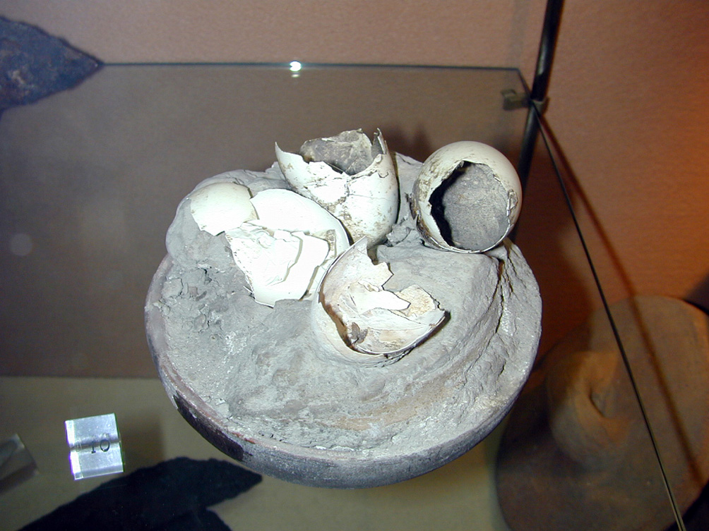 Antiquarium di Boscoreale