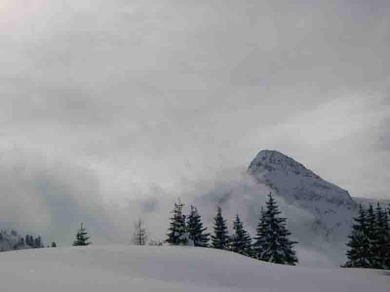 Passo Rolle-  Trentino