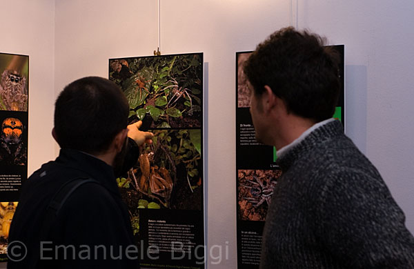 Mostra 