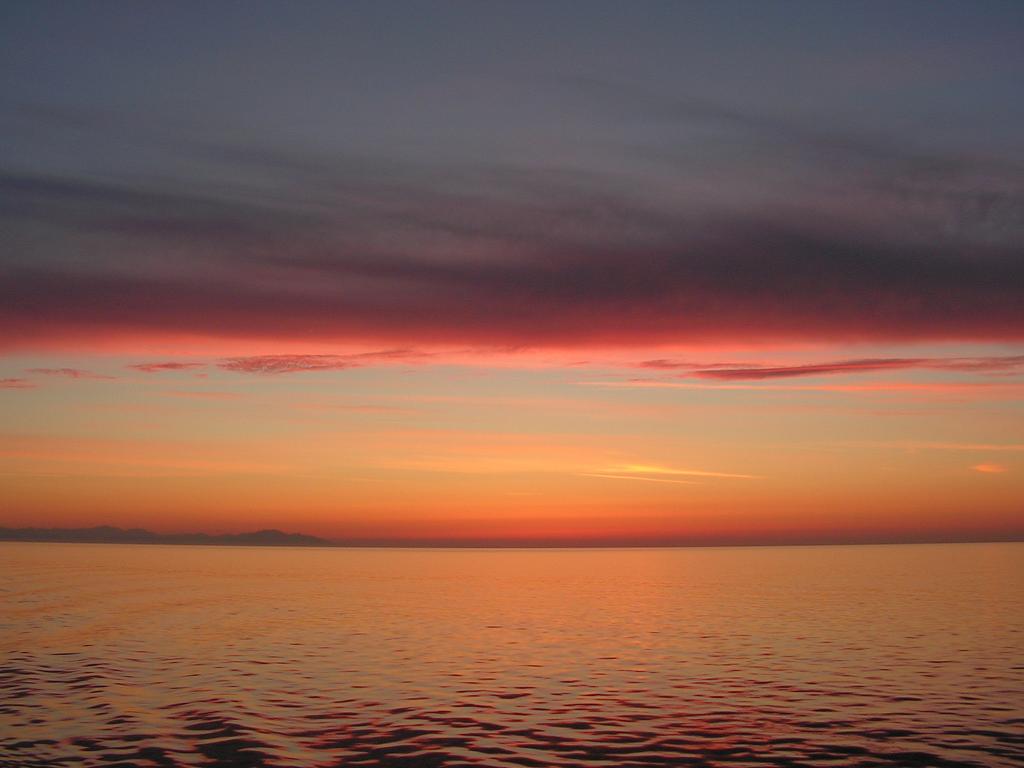 alba chiara
