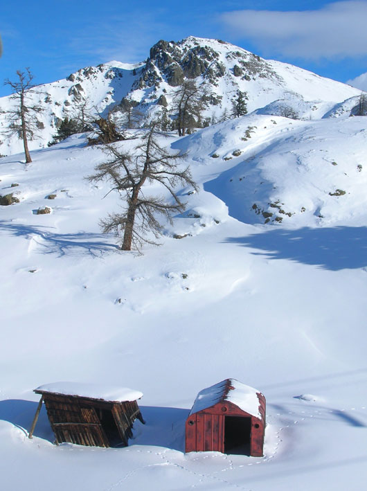 Cercando la neve.