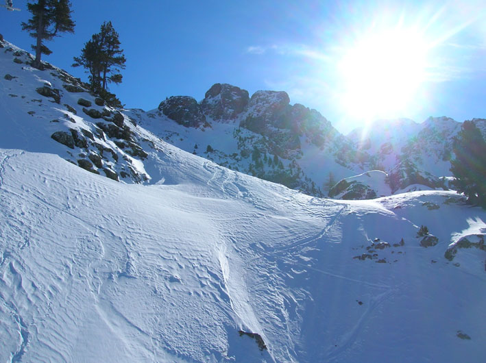 Cercando la neve.