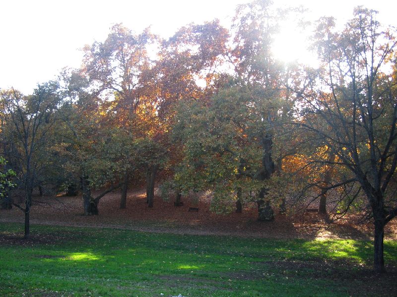 Roma - Villa Borghese