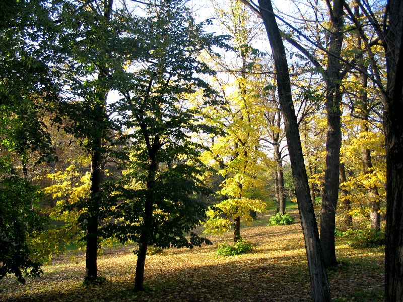Roma - Villa Borghese