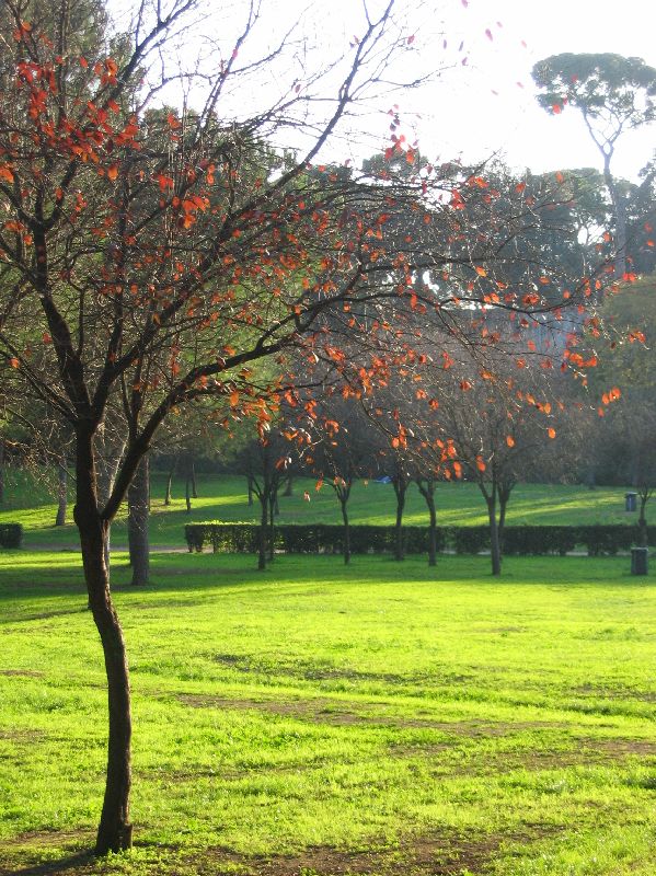 Roma - Villa Borghese