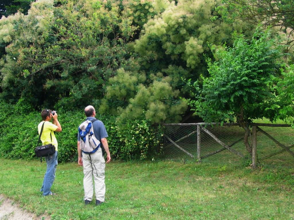 Le foto del Raduno di Monteveglio