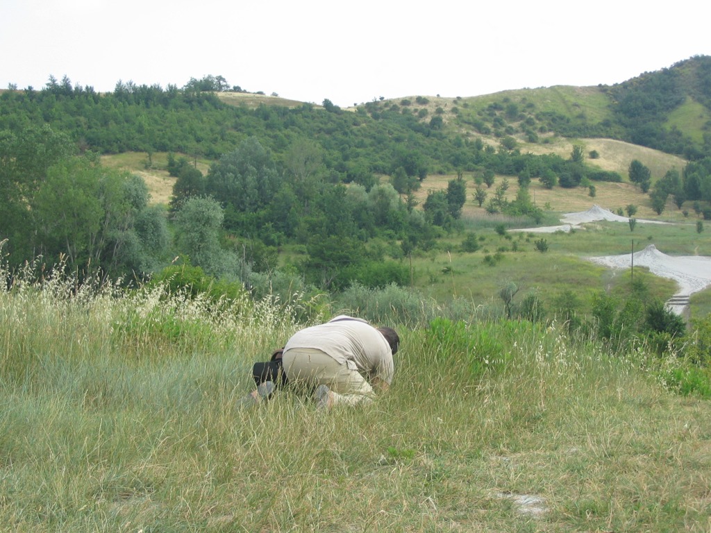 Le foto del Raduno di Monteveglio