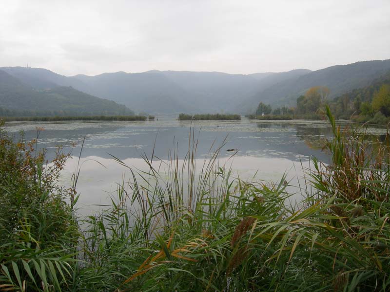 Laghi ......del VENETO