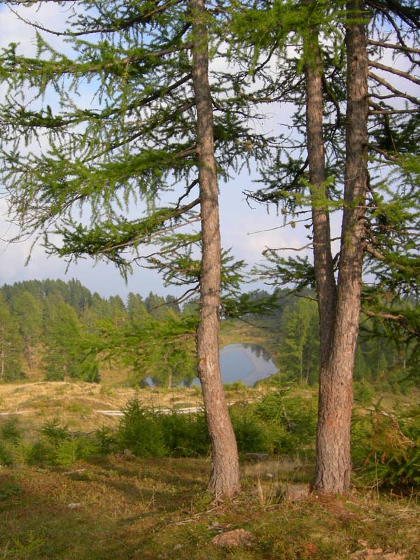 Laghi.......del TRENTINO