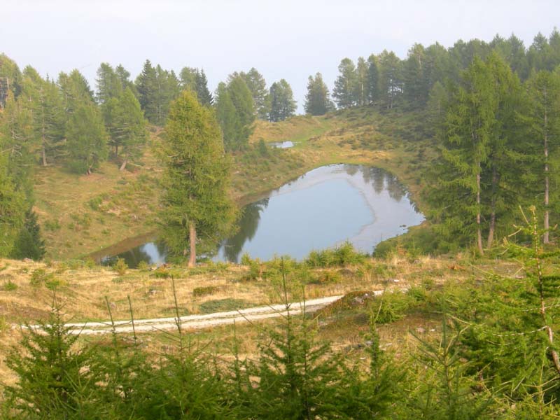 Laghi.......del TRENTINO