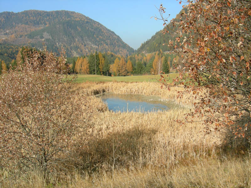 Laghi.......del TRENTINO