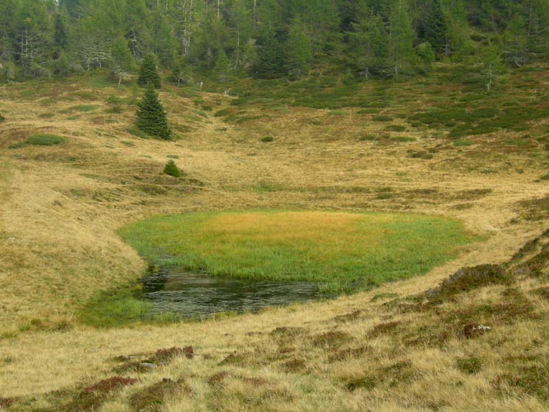 Laghi.......del TRENTINO