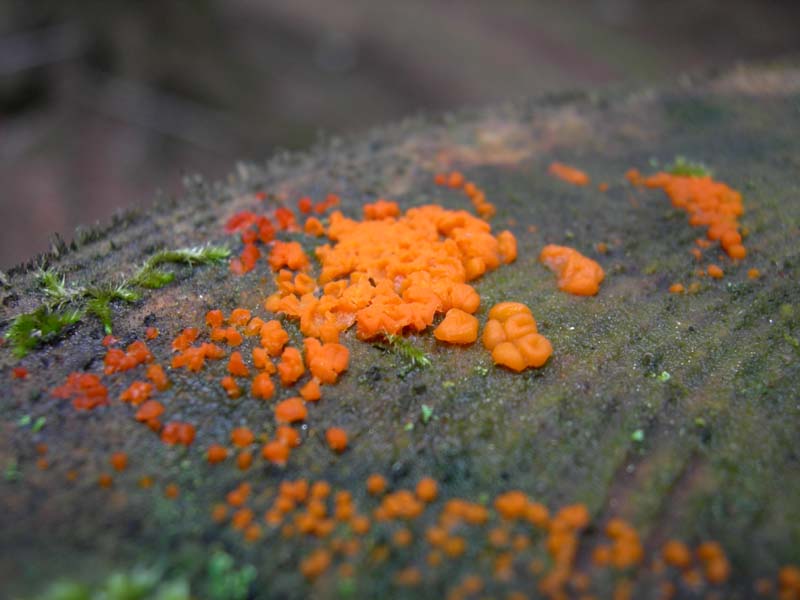 5..........da determinare